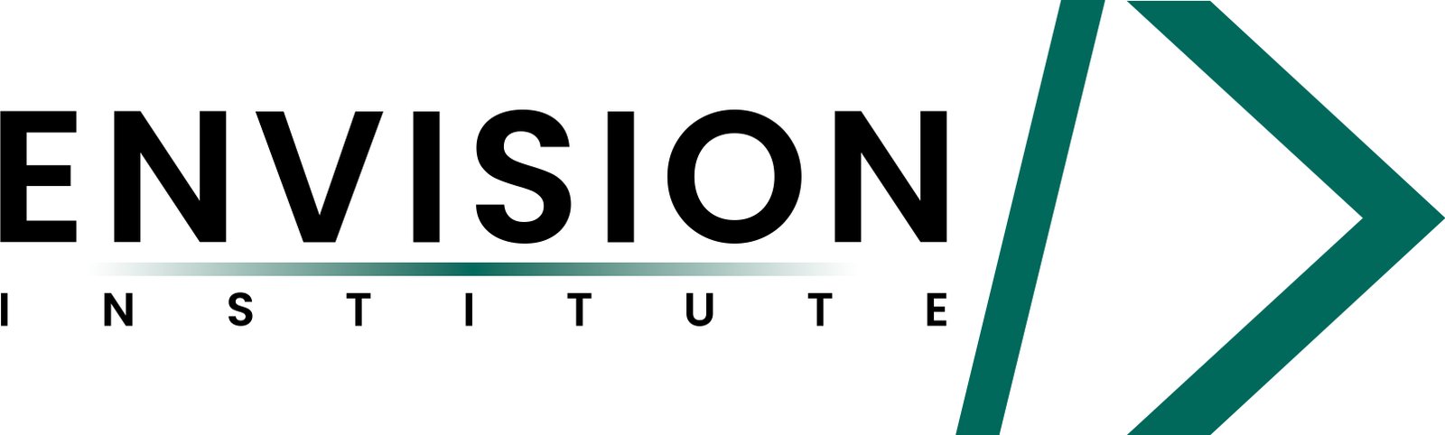 Envision Institute: Master Coding & Software Development